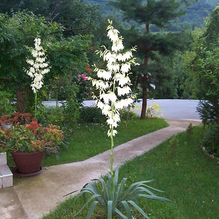 Hostal House Zlatko Selište Drežničko Exterior foto