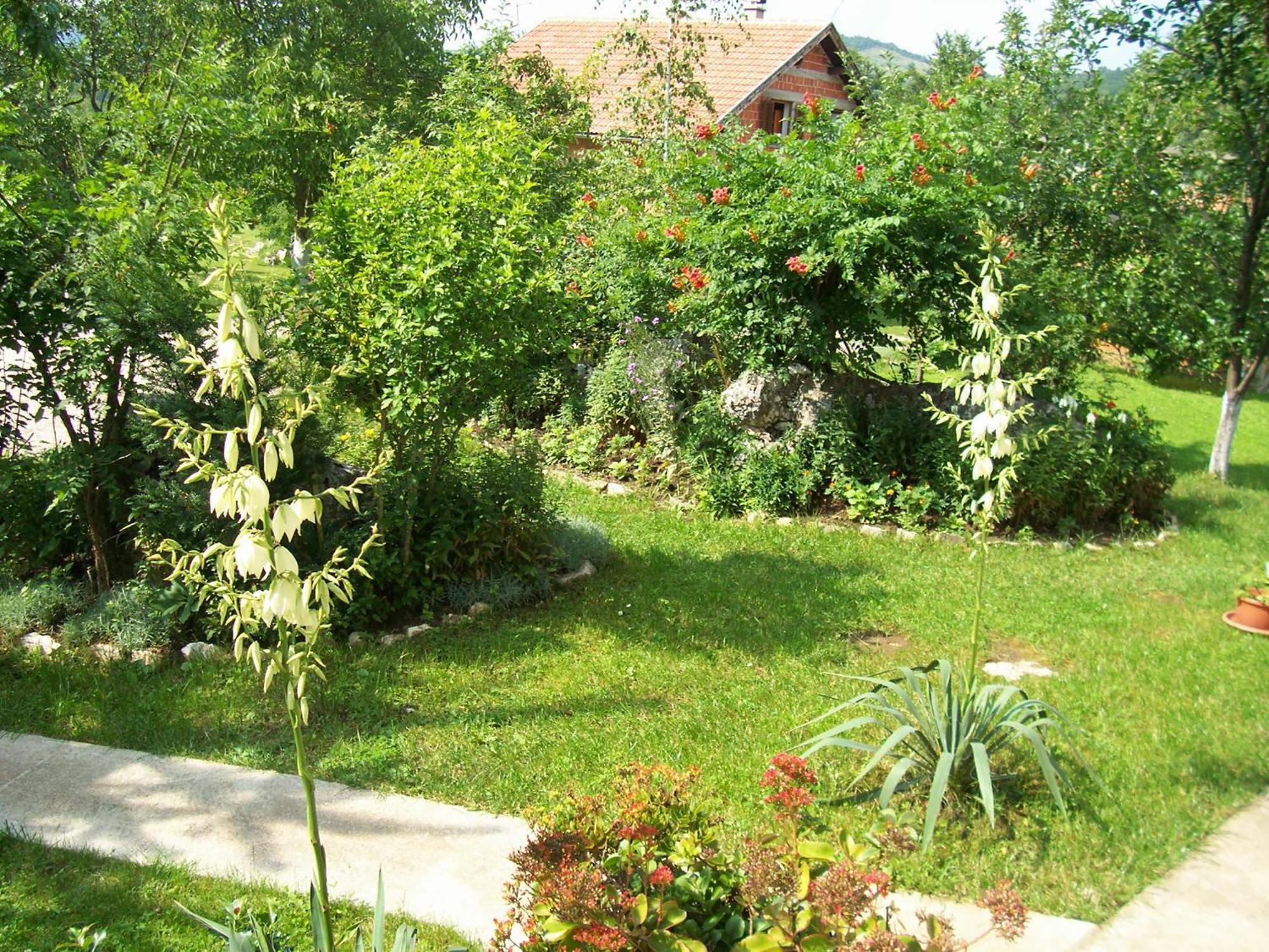 Hostal House Zlatko Selište Drežničko Exterior foto