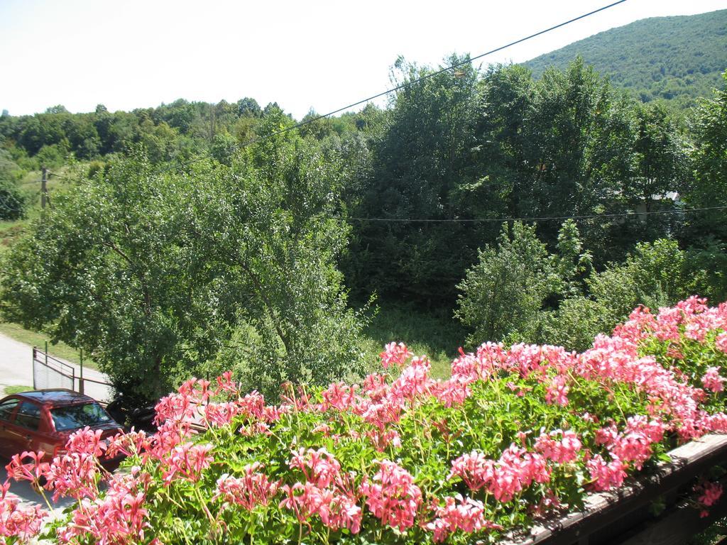 Hostal House Zlatko Selište Drežničko Exterior foto