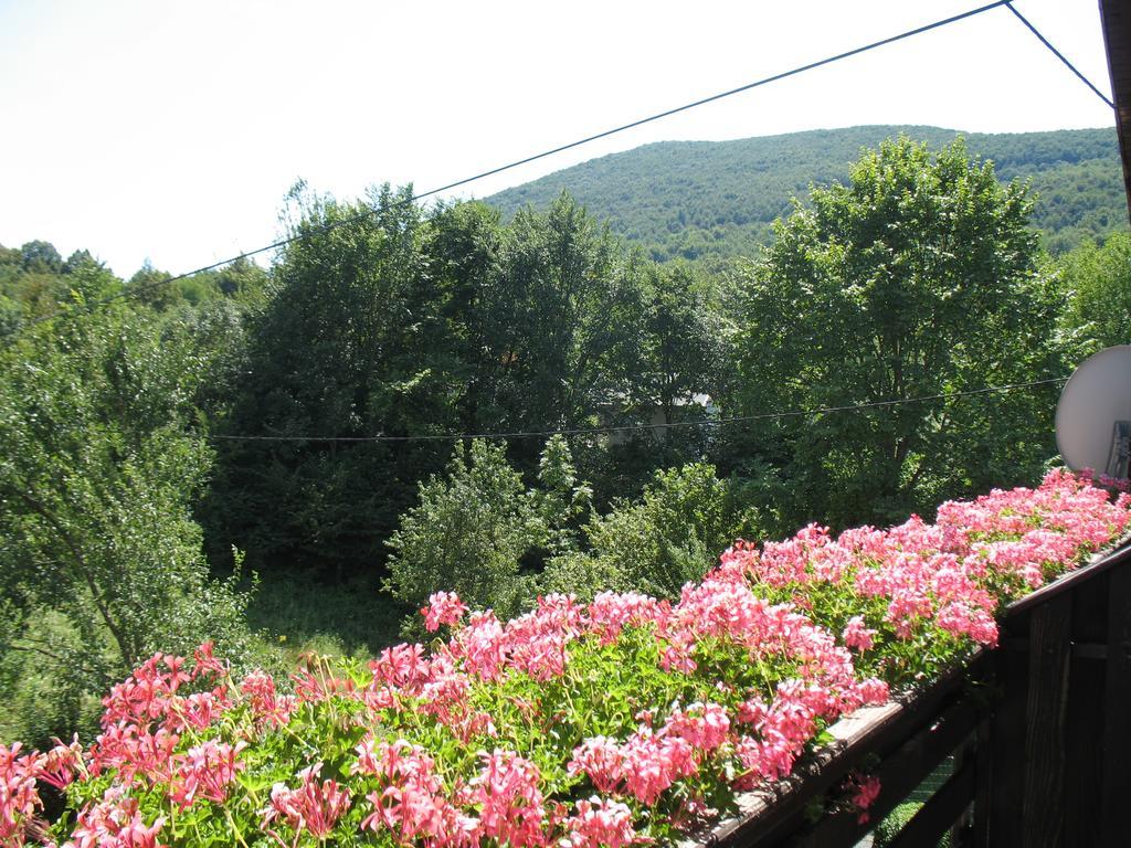 Hostal House Zlatko Selište Drežničko Exterior foto